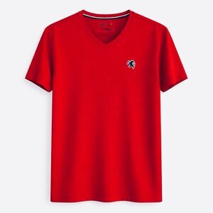 Express Jersey Red V-Neck T-Shirt Men’s Large Embroidered Lion Logo Tee